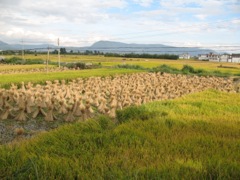Françoise et Alain - Circuit au Yunnan - Septembre 2014 (12 jours)